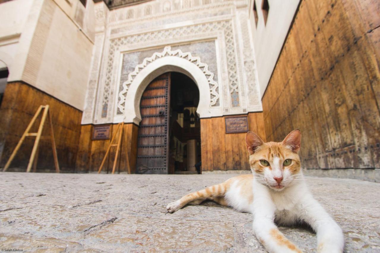 Riad Anis フェズ エクステリア 写真